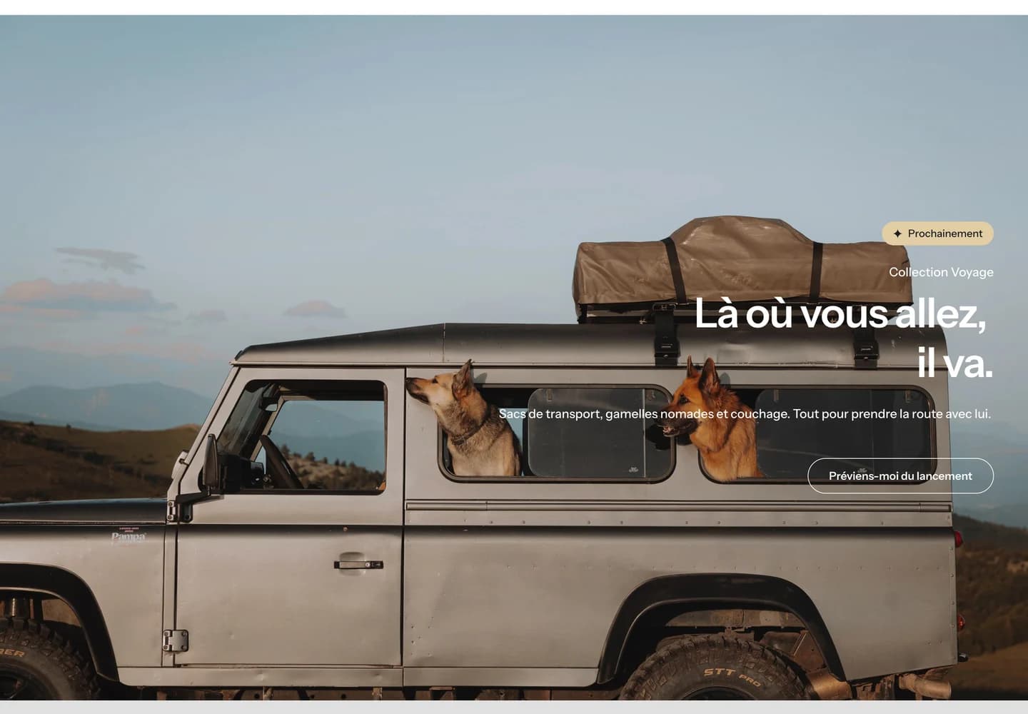 La Truffe, section 4 du site